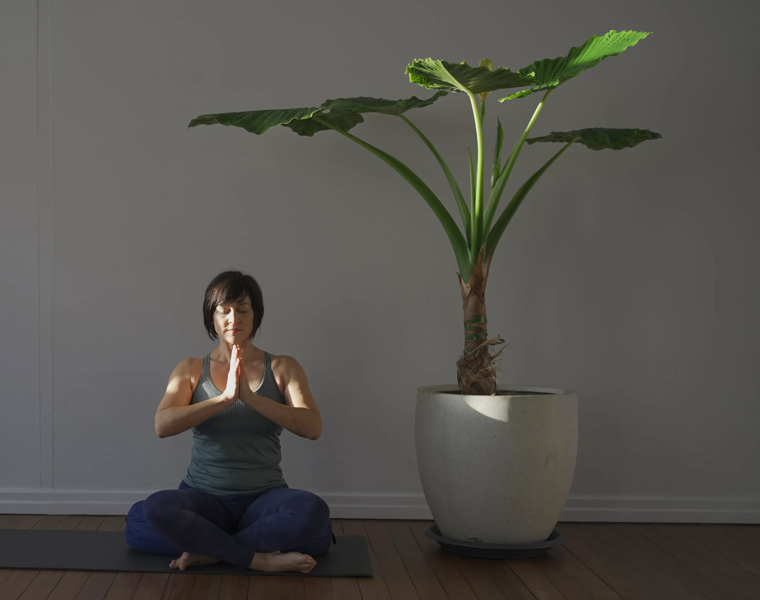 Debby Lewis meditation at West End Yoga Brisbane